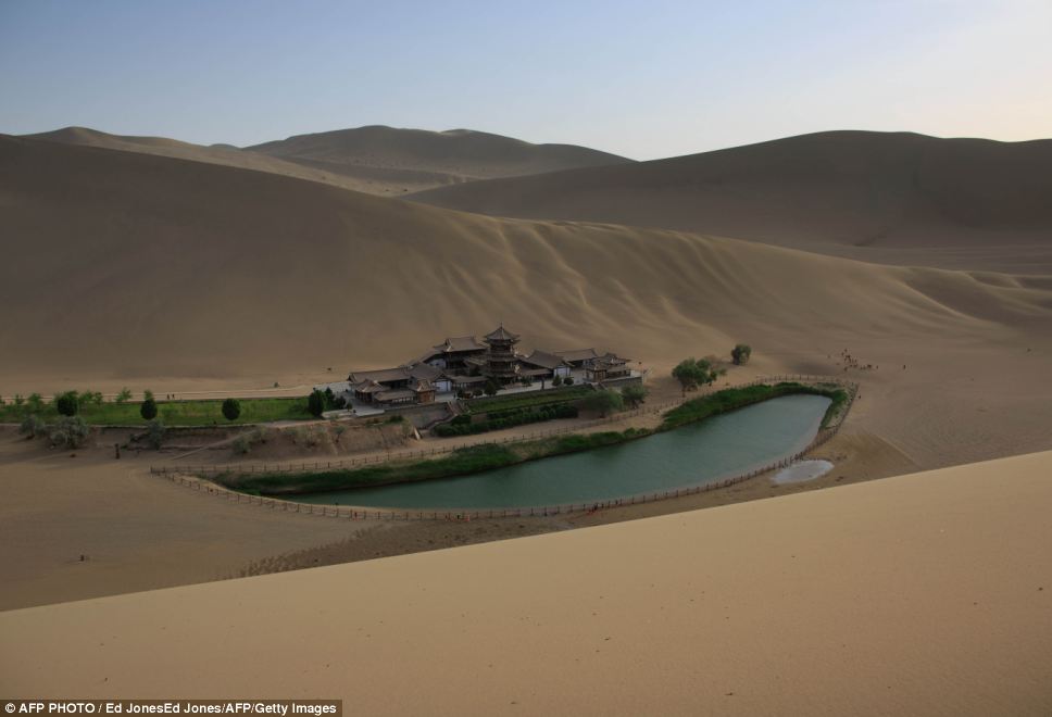 Fascinating ancient oasis in China's desert Gobi (5)