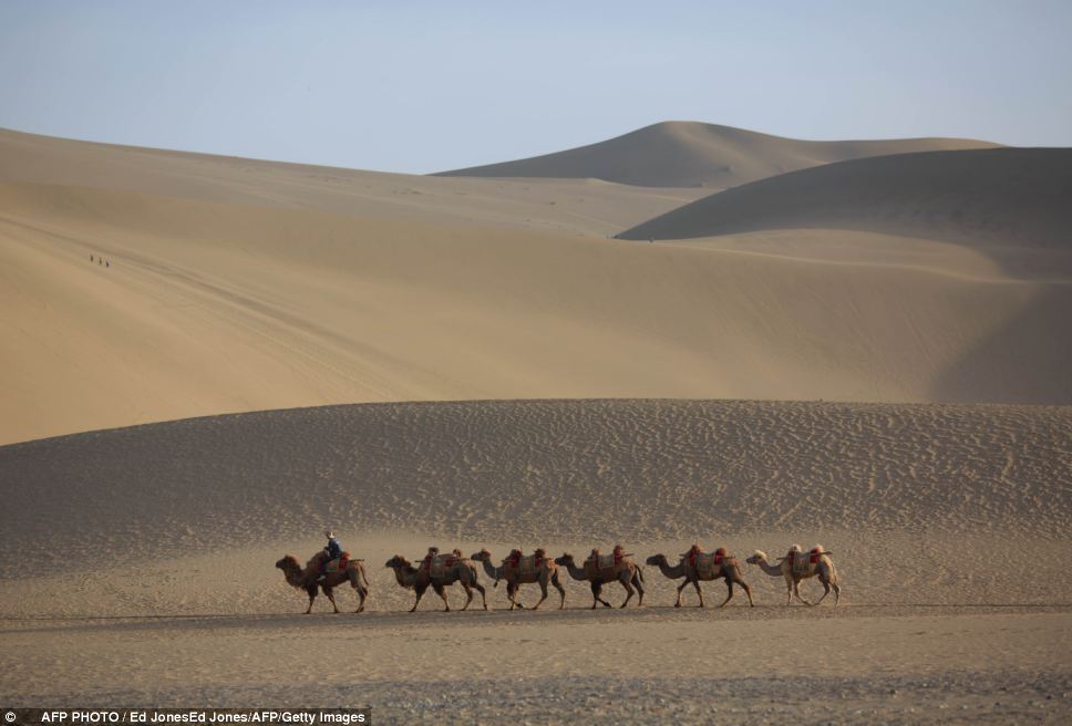 Fascinating ancient oasis in China's desert Gobi (6)