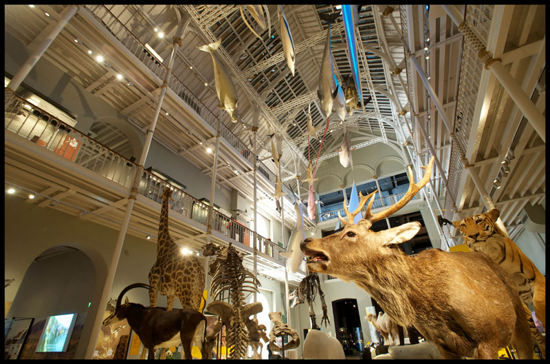 collections of National Museums Scotland