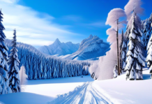 Amazing countries to visit during winter