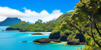 Immersive Oceania: A Traveler’s Guide to Local Life and Culture Immersive Oceania: A Traveler’s Guide to Local Life and Culture