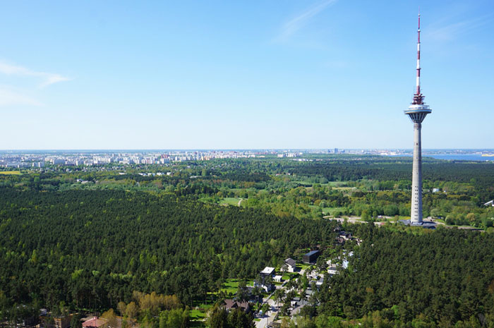 Rooftop Adventure in Tallinn, Estonia